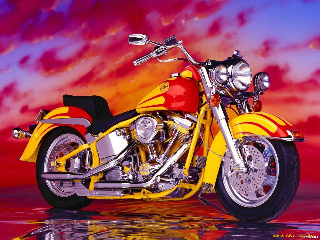 , harley, davidson